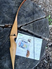 Vintage Damon Howatt Archery Cavalier recurve 38#
