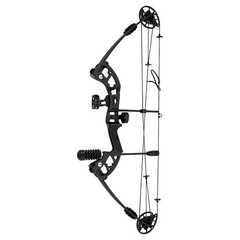 Right Hand Compound Bow For Training W/ 12x Arrow Weight Cams Fully Adjustable