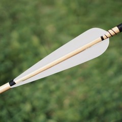 Arrows Vanes 4 Inch Plastic Fletching for DIY Archery Arrows 502486