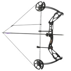 Shoting 0-70lbs 320FPS Compound Bow Archery Set Sight Carbon Arrows Feathers