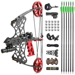 18″ 45lbs Mini Compound Bow SET Dual-use Steel Ball Arrows Archery Fishing