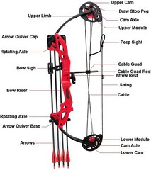 Compound Bow Set 15-29lbs Arrows Archery Hunting Equipment for Teens Kids 260fps