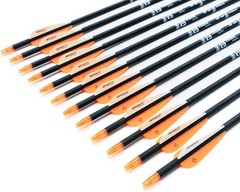 High-Quality 30-Inch Carbon Arrows with Nickel Plated Tips – Archery Essentials