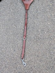 Crystal Schockemohle Delaware Bridle & Matching St. Lewis Breastplate 🤩