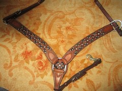 Bar H Equine crystal bling Tack Set Bridle, Breast Collar, bit &split reins