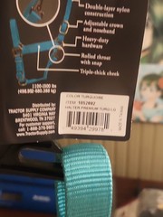 Dumor Premium Turquoise Nylon Halter With Snap Size LARGE