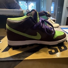 Nike SB Dunk Mid Brown Green Purple Donatellos Shoes US 8.5 D Medium