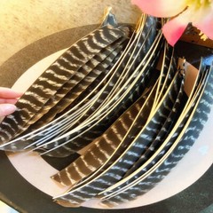 Archery Turkey Feathers 7-9in Cut Barred Fletches Making Traditional Flu Arrows
