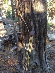 Tradition Archery Leather Bow Quiver Recurve Longbow 5 Arrow RH/LH 🇺🇸 TERA-1