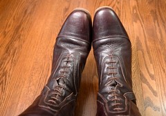 Mountain Horse Harmony Collection Sovereign Lux tall field boot brown 8 wide reg
