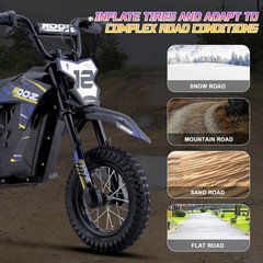 MotoTec 36v 300w Electric Dirt Bike – Multi Colors – Lithium Battery – HP122E