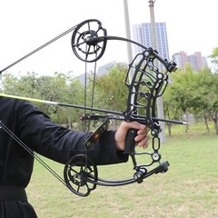 Archery Dual-Use Compound Bow Set 30-70lbs Adjustable Hunting Shooting Target