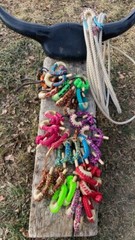 RWB AMERICAN FLAG 10 Plait Pryor ParaCord Hondo w/ Bull Rawhide Burner Buckaro