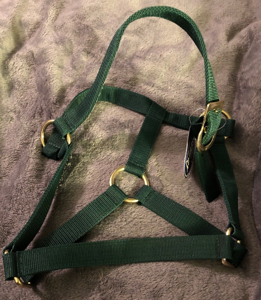 New Green Nylon Horse Halter Size Small 500-800lbs