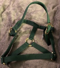 New Green Nylon Horse Halter Size Small 500-800lbs