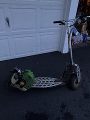 Evo 2x Original Puzey Active Gas Scooter Goped Go-ped Go Ped Bladez