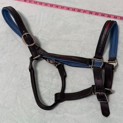 USED Black and Blue Padded Leather Horse Halter Large Size with Bling