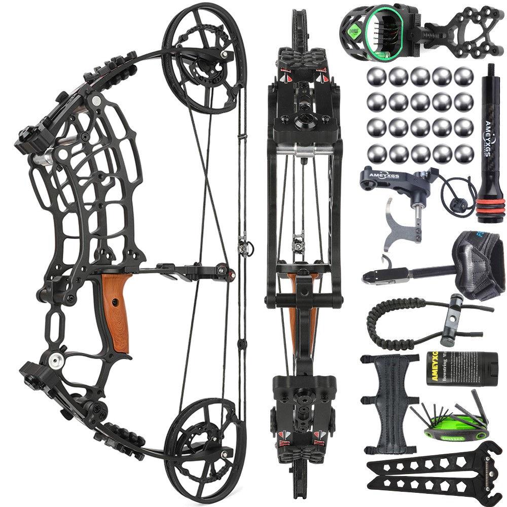 Compound Bow Set Steel Ball Arrows Dual-use 30-60lbs Archery Hunting Fishing