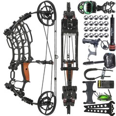 Compound Bow Set Steel Ball Arrows Dual-use 30-60lbs Archery Hunting Fishing