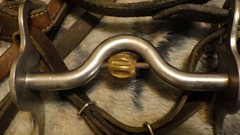 Vintage Leather One Ear Headstall Engraved Cricket Curb Bit Crockett Renalde