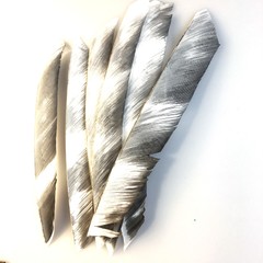 50pcs Archery RW Fletches 18-25cm Turkey Feather DIY Traditional Hunting Arrows