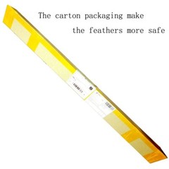 Carbon Arrow 28/30/31 Inches Length Spine 500 with Replaceable Arrowhead