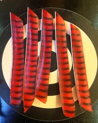 7-9in Full Length Turkey Feathers Cut Fletches Archery Hunting Flu Flu Arrows