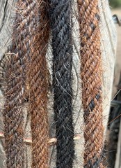 SUPERB 3/8″ RAWHIDE & KANGAROO Patchwork BOSALITO BY JIMMY FLORES OF CALIFORNIA
