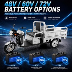 Electric Tricycle Cargo Truck 600W Free Shipping Electric Cargo Trike Orchard