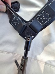 Scott Archery Shark Release