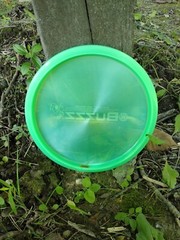 💥Discraft 20 Year Anniversary Buzzz Light Green Ice Pearl & Green Foil Stamp