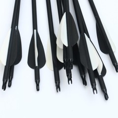 12pcs Archery 30″ inch Carbon Arrows SP500 Outdoor Bow Hunting Practice Target