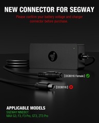 UL CE Certified 53.6V 3.9A Fast Charger Compatible with Segway Ninebot MAX G3…