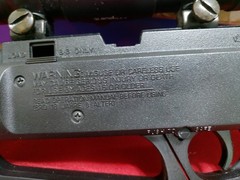 daisy bb gun rifle