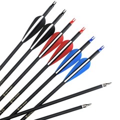 Archery Arrows Dense Shaft 12pcs 31″ Training Practice Shoting Hunting Quiver