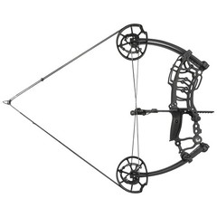 Compound Bow Dual-Use Steel Ball Arrow 40-65lbs Short Axis Archery Hunting RH LH
