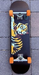 Almost Skateboards John Dilo Animals Complete Skateboard Independent Bones Swiss