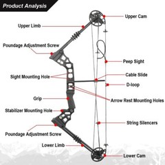 Bowfishing Set 20-70lbs Adjustable Archery Compound Bow Fishing Hunt 320fps R/LH