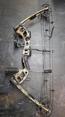 Predator Raptor Compund Bow & Hard Shell Case