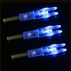 US LED Lighted Nocks for Arrows with .244/6.2mm Inside Diameter Hunting Shooting