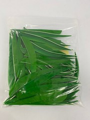 100 PACK TrueFlight 5″ Inch Archery Feathers Right Wing Parabolic Cut Green NEW