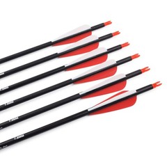 Elong 6/12PCS 26/28/30″ Arrows for Compound Bows,Carbon Hunting Arrows for Ar…