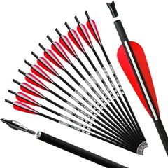 Eco-Friendly Carbon Crossbow Bolts – Consistent 12-Pack – Perfect for Practice