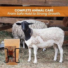Yield Titan Himalayan Animal Lick Salt Brick Holder for Animal – Easy to Install