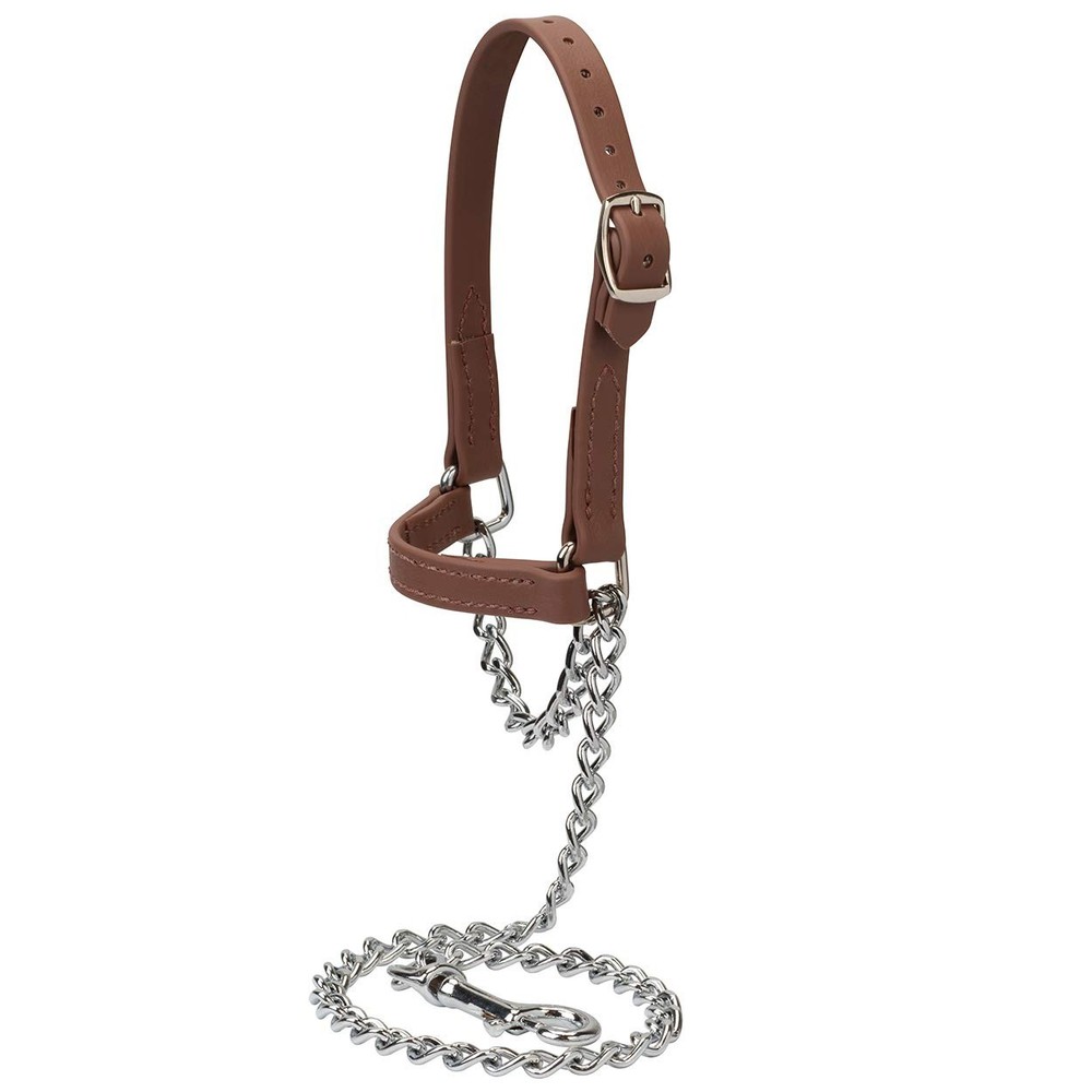 Brown Goat Halter with Chain Lead Adjustable Medium for 30-60 lbs Goats