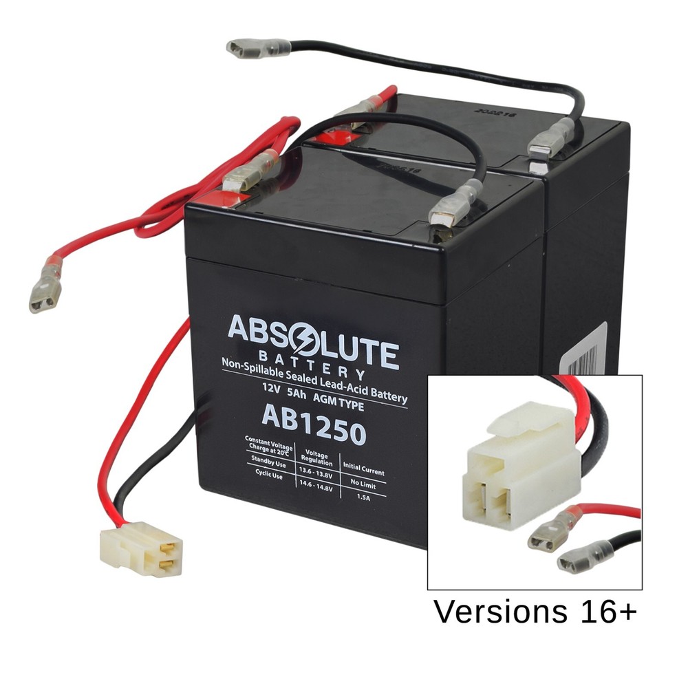 24 Volt Battery Pack (5 Ah Version 16+) for the Razor E100/E125 Electric Scooter
