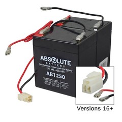 24 Volt Battery Pack (5 Ah Version 16+) for the Razor E100/E125 Electric Scooter