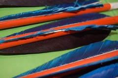 Ben Pearson Vintage Archery Hunting Arrows For Recurve/Long Bow – 6 Arrows