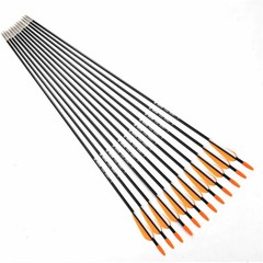 12PCS 31″ Fiberglass Arrows SP700 Archery Target Practice Compound Recurve Bows
