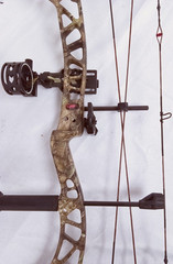 PSE Brute NXT Compound Bow / USA SHIPPING ONLY